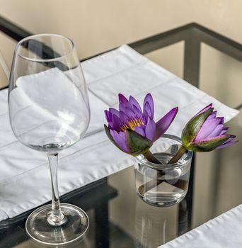 Beautiful Lily Lotus Flower in Empty Glasses Restaurant Interior