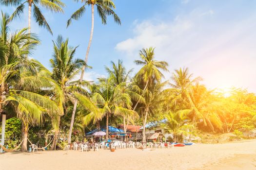 Tropical rock Thailand island panoramic beach white sea and coconut palms nature landscape.