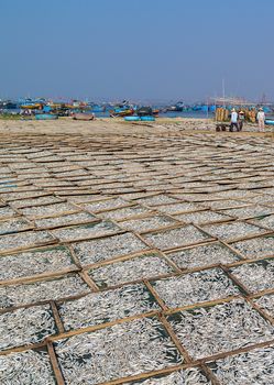 Fresh fish market Dried Salted Fish on Mui Ne beach in Vietnam