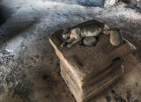 Banteay Srey Cambodian Hinduism temple dedicated to the Hindu god Shiva. Pregnant cat lying Lingam Stone. Linga-yoni. Yoni square base forms symbol divine feminine procreative energy. Cambodia