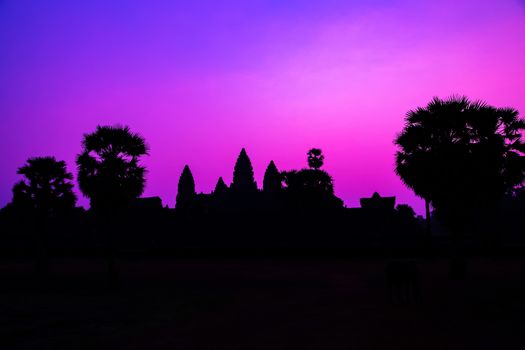 Panorama Mist sunrise tropical morning violet mauve colorful sky landscape Palm trees. Famous silhouette of Cambodian ancient temple Angkor wat, Angkor Archaeological Park near Siem Reap in Cambodia.
