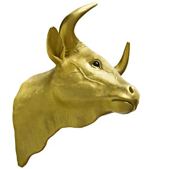 Golden Calf Taurus gold head isolated white background