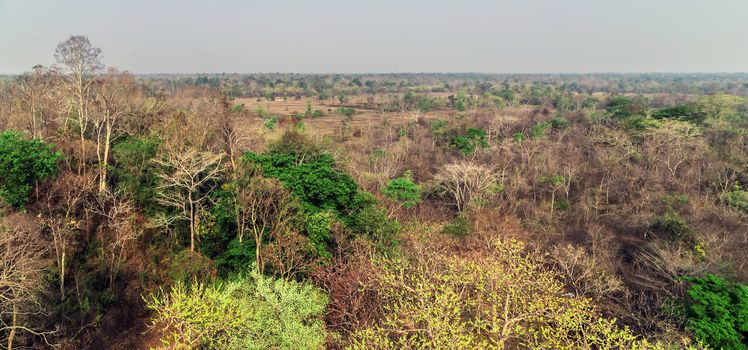 Top view landscape nature forest Lost City ruins Angkor Wat Temple of Bang Melea Siem Reap Cambodia.