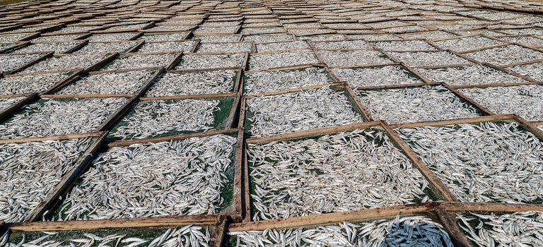 Dried Salted Fish Vietnam Mui Ne and Phan Thiet