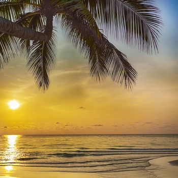 Tropical landscape Summertime beach with sunny sky