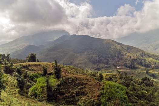 Scenic panoramic fog at the top of terraced rice field in harvest season