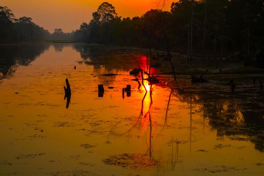 sunrise over the lake in nation park, Siem Reap Cambodia Srah Srang Lake rainforest landscape with fog in morning