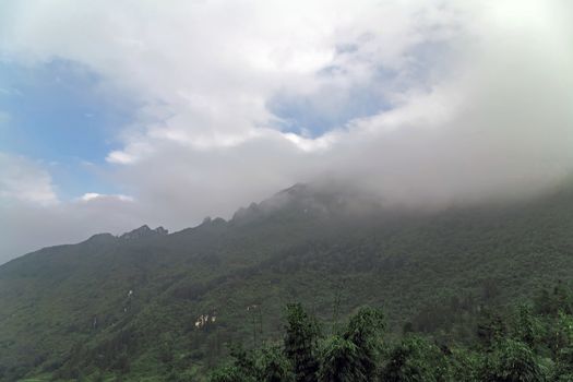 Vietnam Mountain background forested Bamboo plant hills at dawn in the fog. Vietnamese Natural landscape.