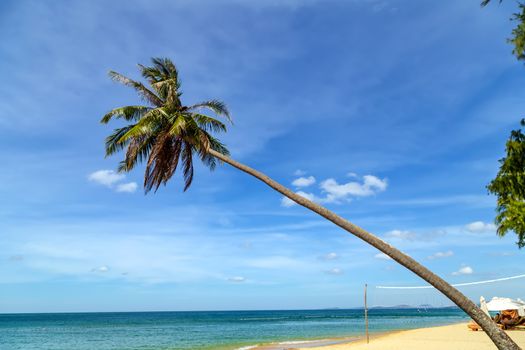 Summer vacation tropical beach caribbean island. Sunny beach with palms sea. Tilted Coconut palm background.