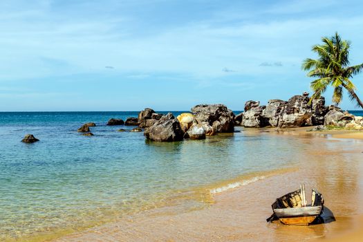 Tropical coconut palm background. Palm Beach Tropical Summer vacation Panoramic view.