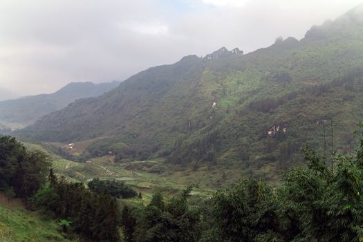 Vietnam Mountain background forested Bamboo plant hills at dawn in the fog. Vietnamese Natural landscape.