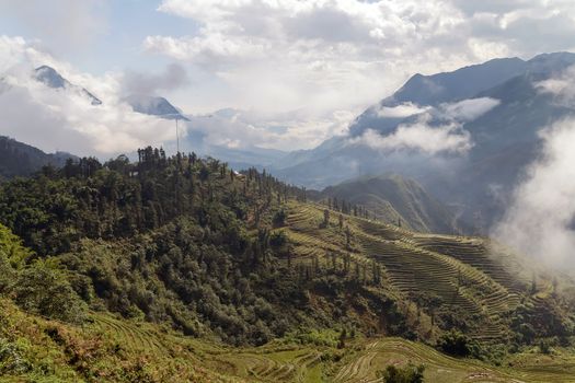 Natural landscape foggy mountains misty hills forest