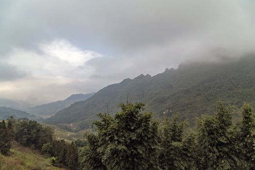Natural landscape foggy mountains misty hills forest