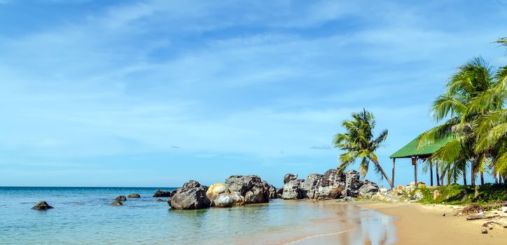 Summer vacation beach caribbean island. Sunny beach with palms sea. Coconut palm background banner.