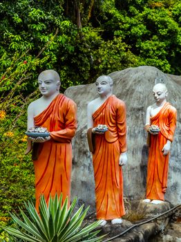 Monk buddhist walking on mountain Sri Lanka