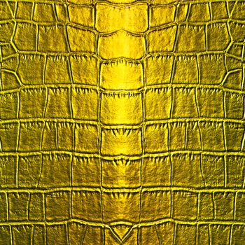 Crocodile Skin golden leather texture surface background