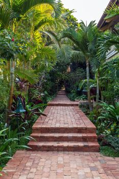 coconut palm. Landscape of paradise tropical island. tiles slabs driveway sidewalk or patio