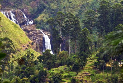 The famous Falls St. Claire on the Ceylon Waterfall in Sri Lanka mountains in the country landscape