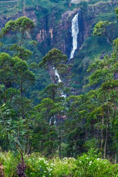 The famous Devon Falls Sri Lanka Waterfall is 97 metres high and ranked 19th highest in the ceylon Island.