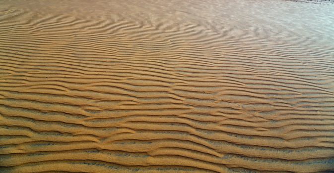 Sand dunes at sunset in sandy Desert