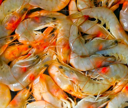 seafood cooked unshelled tiger shrimps background