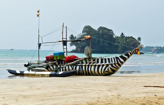 Sri Lankan traditional fishing catamarans, striped, zebra fishing boats on a long sandy beach on the ocean coast of Sri Lanka. Ceylon village.