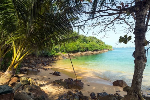 Coconut Jungle Beach on tropical coast indian ocean, Unawatuna, island Sri Lanka