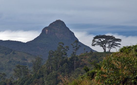 Adams peak holy mountain (Sri Pada) with the forest at the foot of it in sunny day. View from Dalhousie village, Sri Lanka.