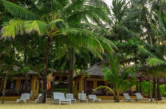 Luxury resort hotel shadow from a coconut tree. Tropical beach sandy shore with beach beds idyllic and romantic sea beach. Concept of travel and relax in paradise. Phu Quoc island in Vietnam.