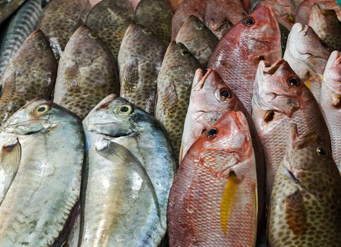 raw fresh cool fish on ice at street market. Seafood on ice, background Sea food