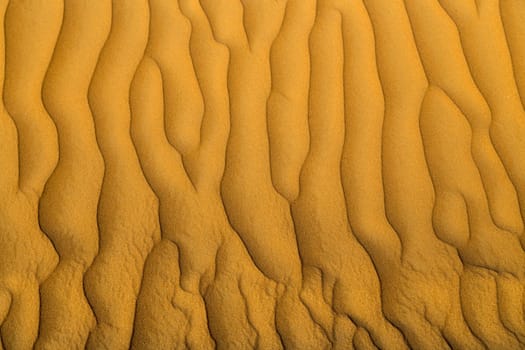 Background sandy Desert Landscape