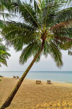 Beach chair and umbrella on sand beach with beautiful seascape view of sea and blue sky in the background. Phu Quoc island in Vietnam. Vacation holidays summer background.