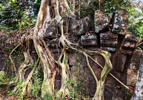Temple of Bang Melea, in Siem Reap, Cambodia.