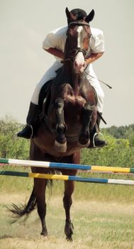 Portrait of a rider with horse in jumping show over hurdle