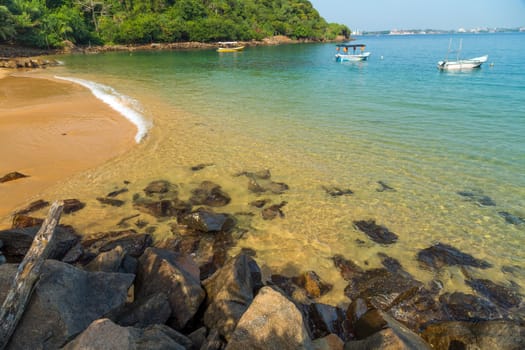 sand Jungle Beach on tropical coast indian ocean, Unawatuna, island Sri Lanka