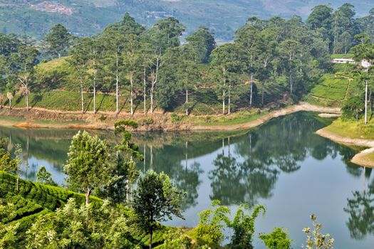 A tea plantation lake near Nuwara Eliya in a medium altitude area in Sri Lanka