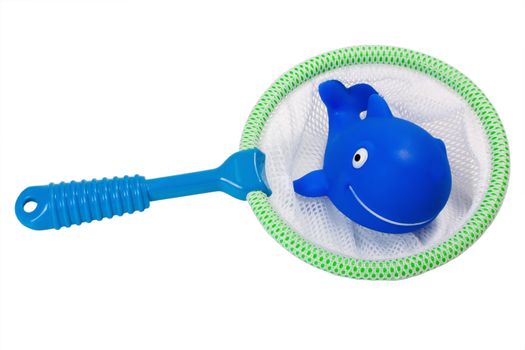fish whale in fishing net solated on white background