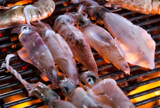 barbecue cooking food grill squid, street food BBQ