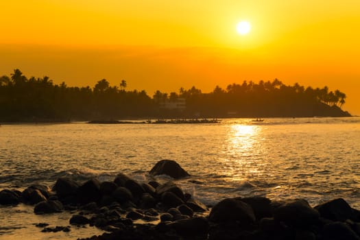 night over resort, exotic nature of Mirissa Beach Sri Lanka