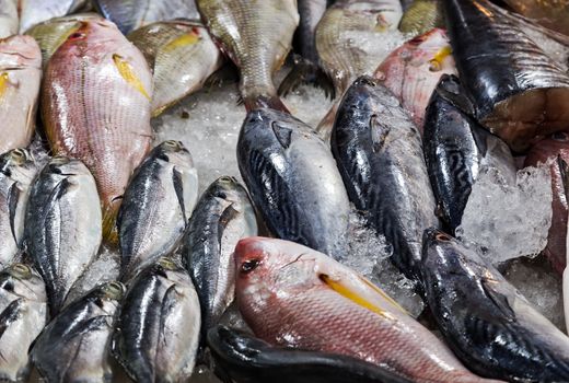 fresh cool fish on ice at street market. Seafood on ice, background Sea food