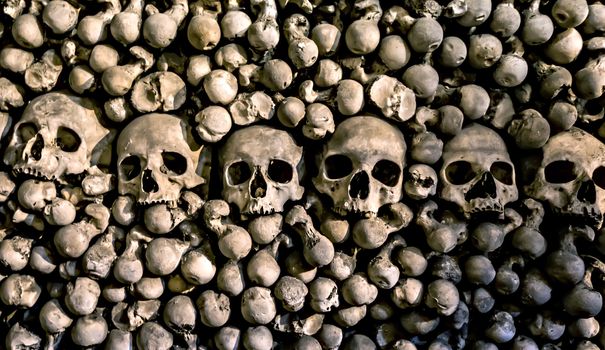 Set of human skull skeleton background