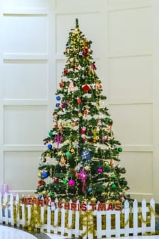 Christmas tree and gift box. background blur textures soft focus