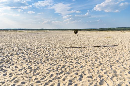 View of Bledow Desert, the biggest sand accumulation away from any sea, located in southern Poland