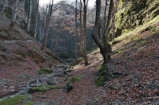 Autumn walk through the labyrinth of the Teteven Balkan with high peaks, river and waterfall, Stara Planina, Bulgaria