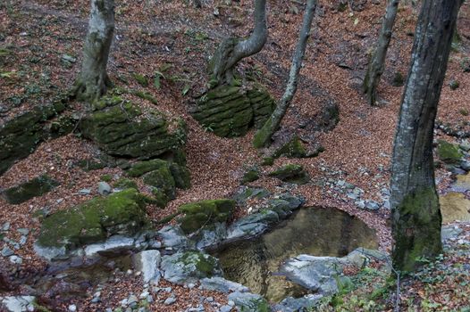 Autumn walk through the labyrinth of the Teteven Balkan with high peaks and river, Stara Planina, Bulgaria