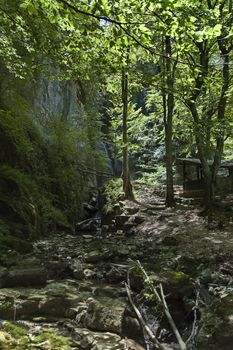 Summer walk through the labyrinth of the Teteven Balkan with high peaks, river and waterfall, Stara Planina, Bulgaria