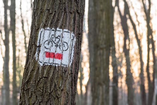Red bicycle trail sign painted on the tree