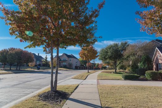 Quiet and clean neighborhood street with colorful fall foliage and unidentified people taking a morning stroll. Row of new development suburban single family house outside Dallas, Texas, America