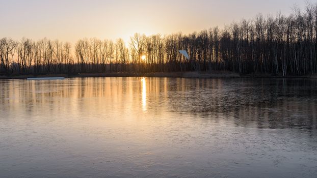 Frozen Stawiki lake at sunset in Sosnowiec, Poland