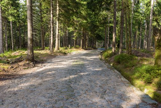 Forest red trail to the mountain shelter on Szrenicka Hall in Giant Mountains near Szklarska Poreba, Poland